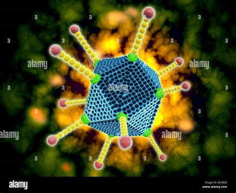 Conceptual image of the common cold virus. The common cold virus is an infectious disease ...