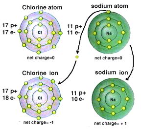 Chlorine's ions are almost always negative, the electrons coming from sodium. They have a net ...