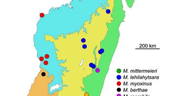 Let's Talk Primates: Lemur habitat was changing before humans even arrived