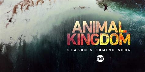 Animal Kingdom Season 6: Release Date, Cast, New Season/Cancelled? - QuikForce