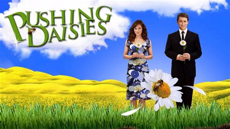 Watch Pushing Daisies Online: Free Streaming & Catch Up TV in Australia ...