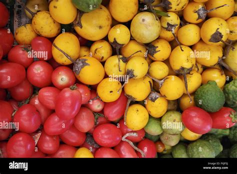 Khlong Toei Market in Bangkok downtown - Thailand Stock Photo - Alamy