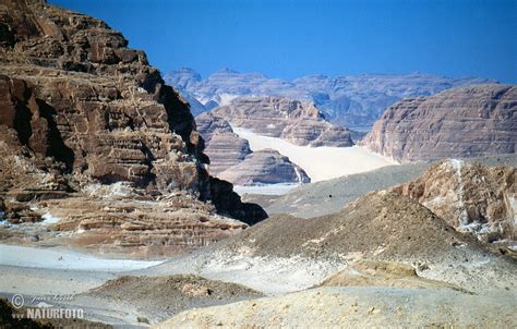 Sinai desert Photos, Sinai desert Images, Nature Wildlife Pictures ...