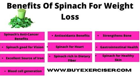 Benefits of spinach for weight loss | Best weight loss supplement.