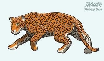 Jaguar Free Vector Art - (4,053 Free Downloads)