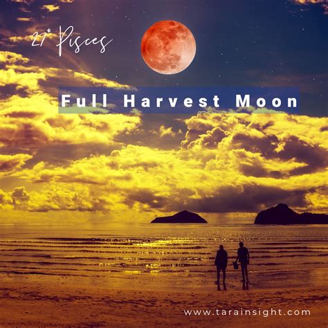 Full Harvest Moon – LifeForce Activation