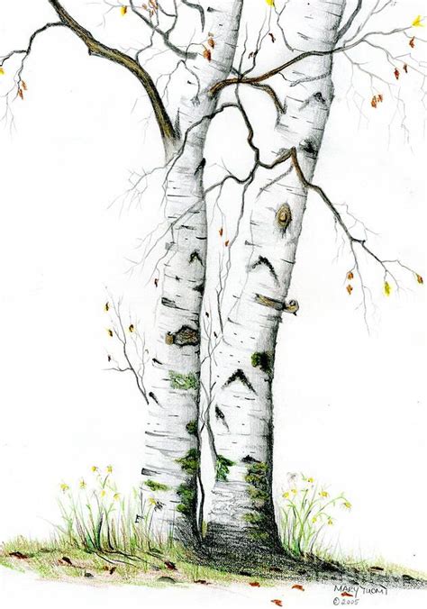 White Birch Painting - White Birch by Mary Tuomi | Birches painting ...