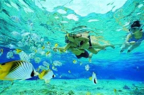 #Costa Rica Snorkeling - http://vacationtravelogue.com Easily find the best price and ...