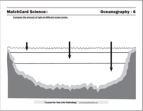 Ocean Zones