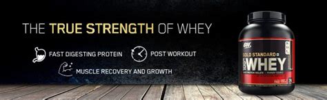 10 Best Whey Protein Brands in India: 2022