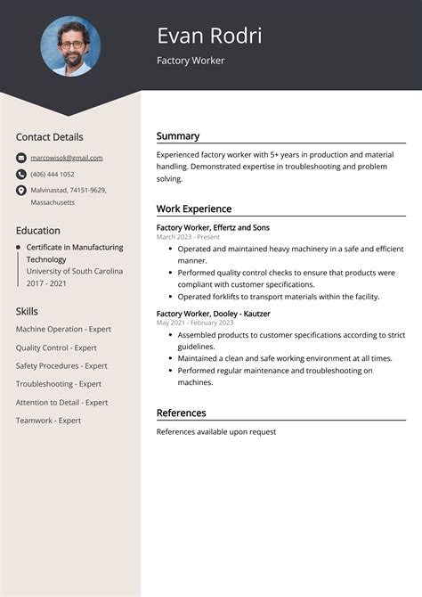 2024 Resume Template Free Downloadable - Henka Desdemona