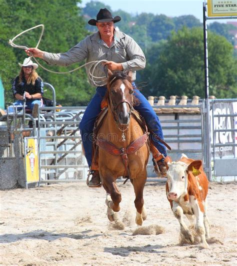 The Cowboy in a Calf Roping Competition. Editorial Photography - Image of countryside, breeding ...