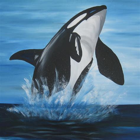 Orca Painting by Cathy Jacobs - Fine Art America