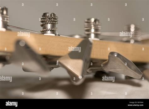 Bass guitar head Stock Photo - Alamy