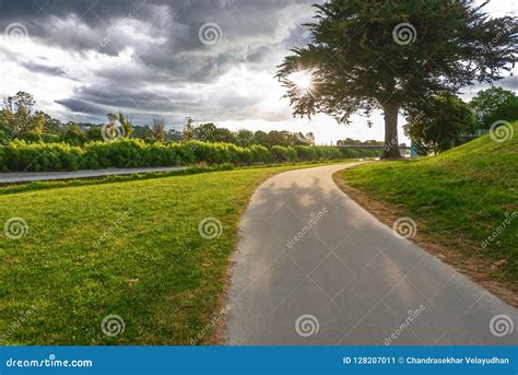 Walkway Alongside the River Manawatu in Palmerston North Stock Image - Image of tree, shadow ...