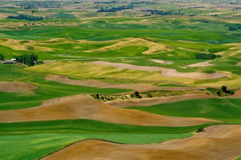 Palouse: Spring Outing – Delta Photo Club