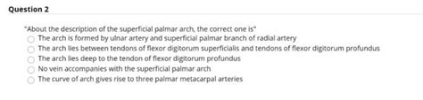 Solved "About the description of the superficial palmar | Chegg.com