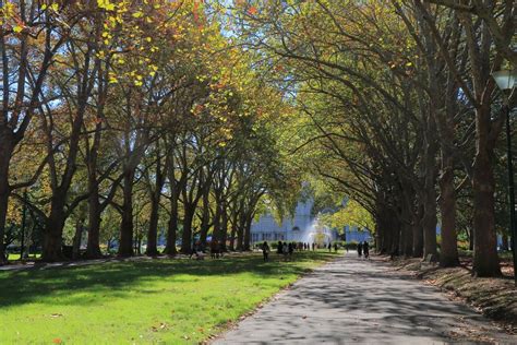 Carlton Gardens - BBQ, Playground & Tennis Map, Melbourne