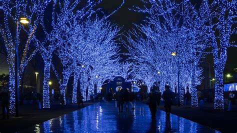 Tokyo Christmas Lights Shibuya Blue Cave | El Gato Curioso