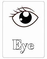 Human Eye Coloring Page sketch template