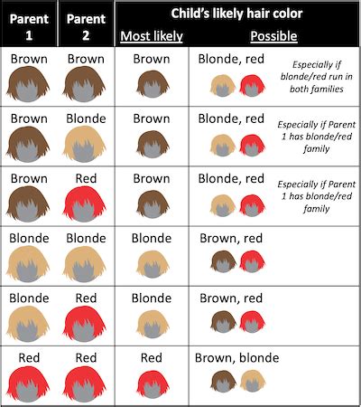 About Genetics : r/coolguides