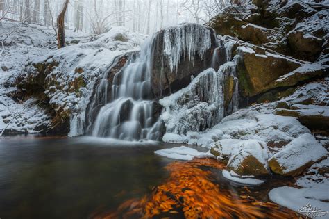 First Snow — Alexis Thompson Photography