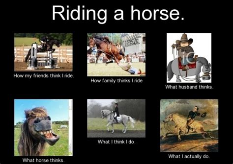 100 Weird Horse Memes Images