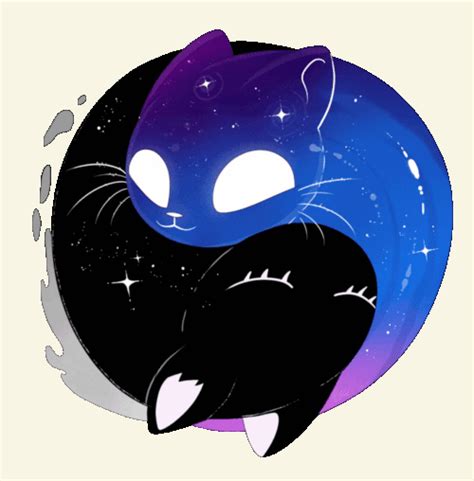 space cat gifs | WiffleGif