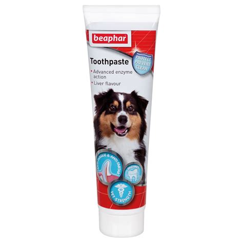 Beaphar Dog Toothpaste 100g | Wilko