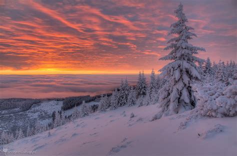 Beautiful Winter Sunrise | WALLDISCOVER.COM