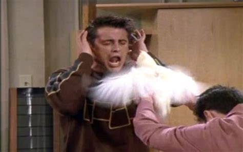 Joey Tribbiani - Joey Tribbiani Photo (31574968) - Fanpop