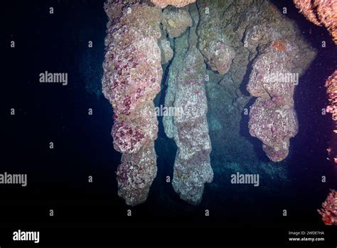 Belize, Stalactites inside the Blue Hole Stock Photo - Alamy