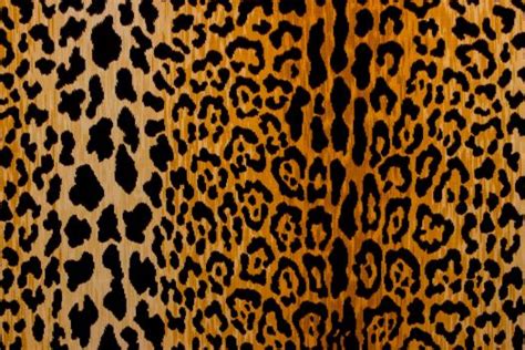 Leopard Print Fabric by the Yard | Animal Prints Fabric - The Fabric Mill