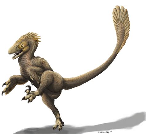 Balaur bondoc by EWilloughby on DeviantArt