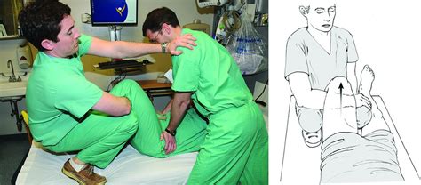 Dislocation of the Hip: A Review of Types, Causes, and Treatment ...