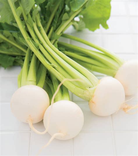 Raw white turnip | YAM MAGAZINE