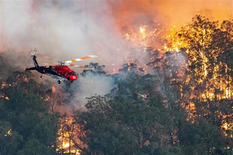 Australia fires cause thousands to flee New South Wales as state of emergency called | London ...