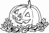 Printable Pumpkin Coloring Pages sketch template