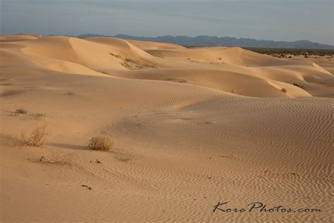 Glamis Dunes | Glamis Sand Dunes. Southern Ca. Ripples of ti… | Flickr