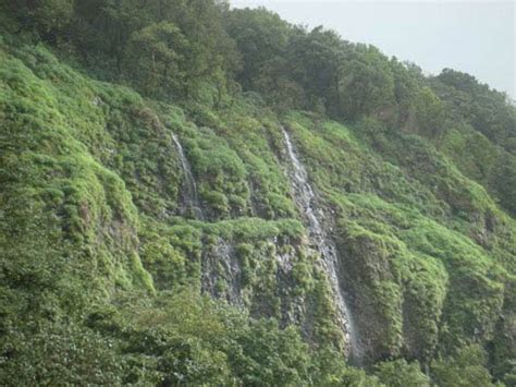 Amboli Ghat Waterfall: Tourist Holiday Destination In Maharashtra ...