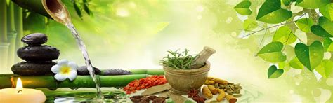 Best ayurvedic doctor, diabetes ayurvedic clinic, ayurveda treatment center of diabetes, heart ...