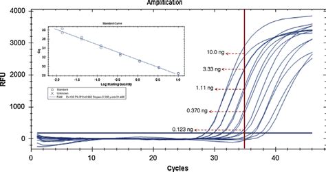 Real-time PCR amplification curves and respective calibration curve... | Download Scientific Diagram