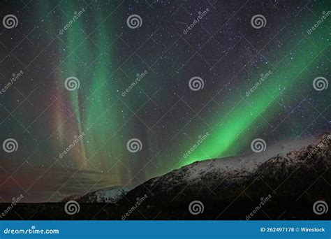 Northern Lights in the Arctic Circle in Norway Stock Photo - Image of nature, cold: 262497178