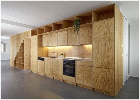 Plywood Kitchen Cabinet Doors | Plywood kitchen, Birch kitchen cabinets, Plywood cabinets