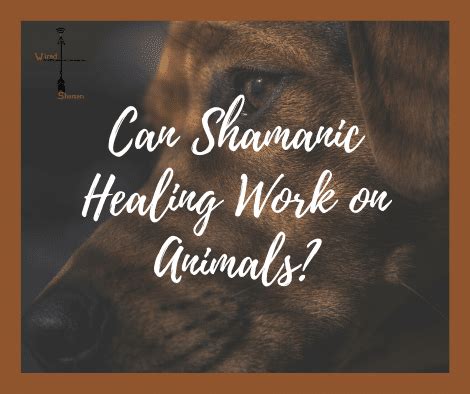 Does Shamanic Healing Work for Pets? - The Wired Shaman