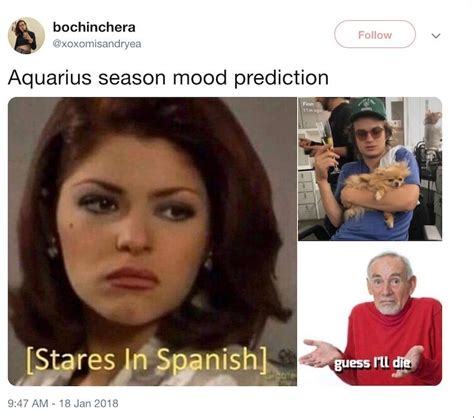 Funny Aquarius Season Memes to Share With Friends