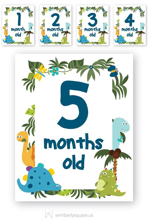 Baby boy dinosaur monthly milestone signs «« | Baby month stickers ...