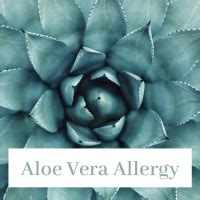 Allergic to Aloe Vera in Skin Care? Maybe not! Find out Here!