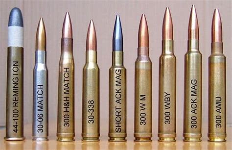 300 WIN MAG VS 308 WIN - Caliber Showdown - Gun News Daily