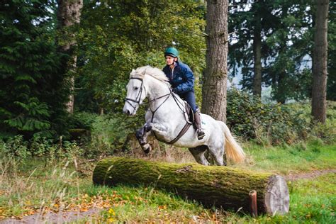 Castle & Estate Ride | Horse Riding Holidays in Ireland | Globetrotting